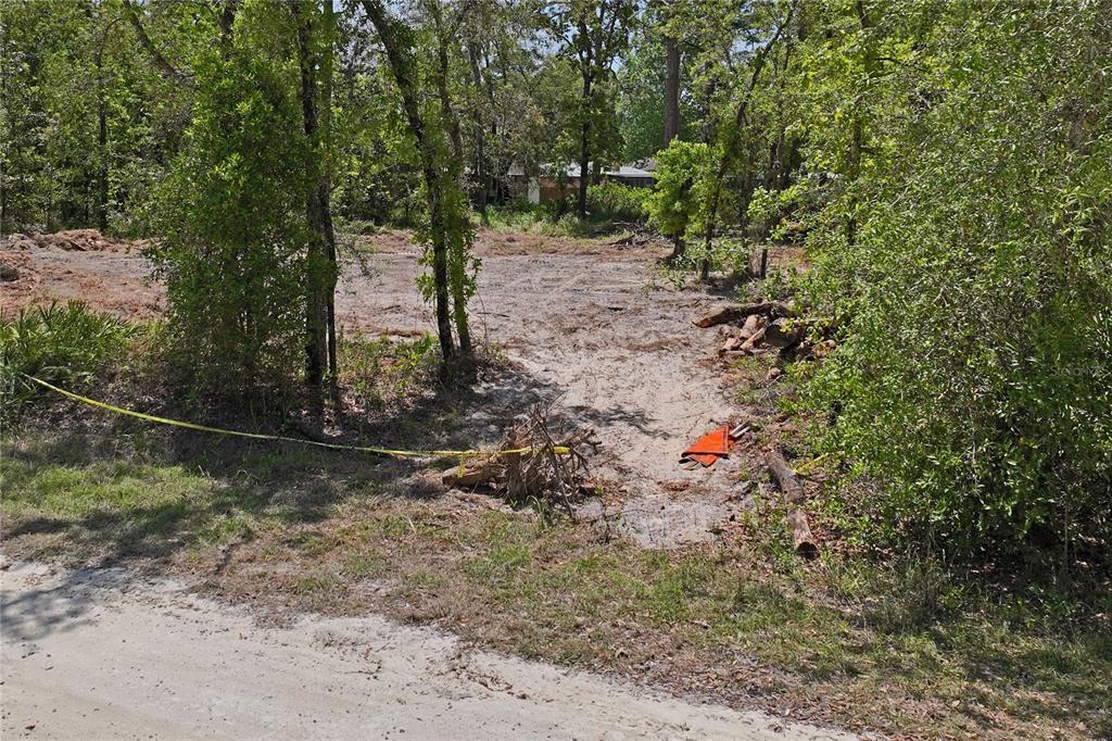 0 Yellowstone Avenue Weeki Wachee, FL 34614 - Photo 16 of 18 a view of a forest with a tree