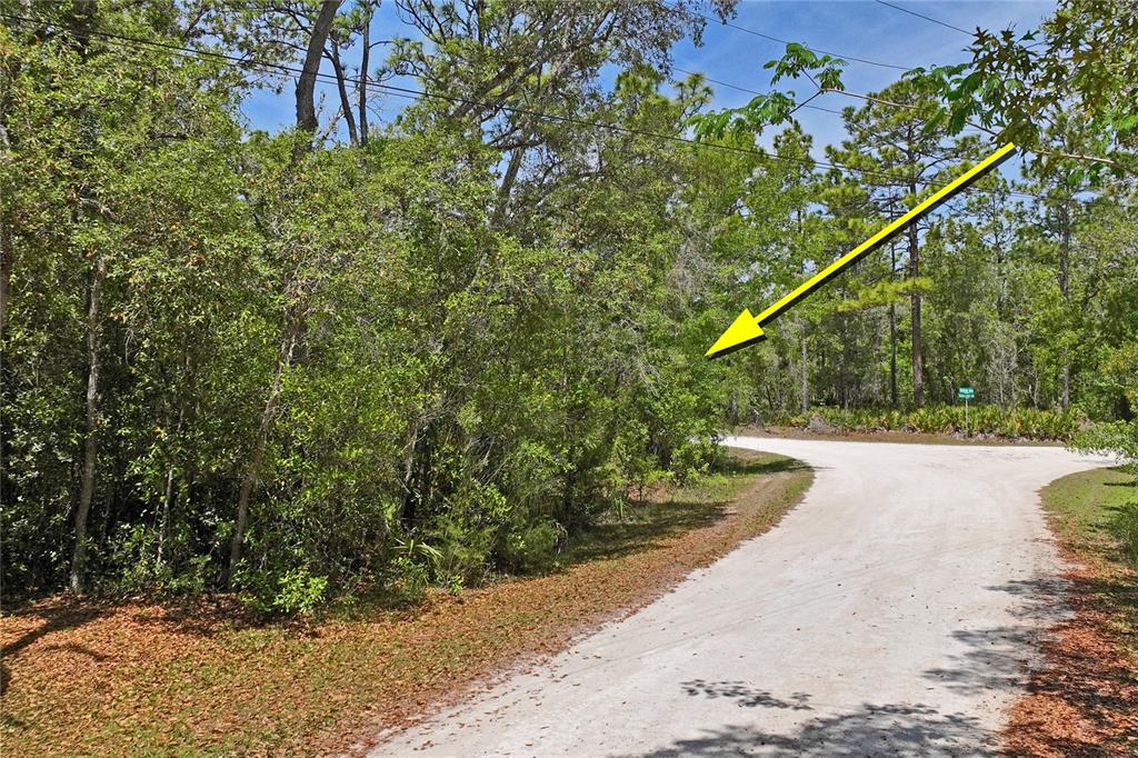 0 Yellowstone Avenue Weeki Wachee, FL 34614 - Photo 17 of 18 a view of a wooden bridge