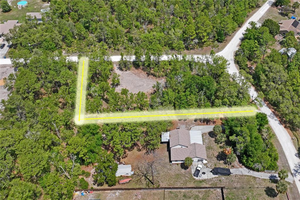 0 Yellowstone Avenue Weeki Wachee, FL 34614 - Photo 2 of 18 a view of a garden with a tree