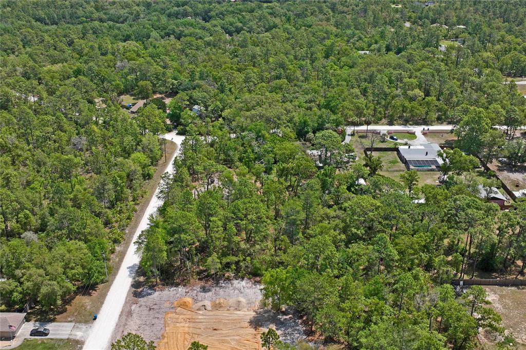 0 Yellowstone Avenue Weeki Wachee, FL 34614 - Photo 9 of 18 a view of a yard with plants