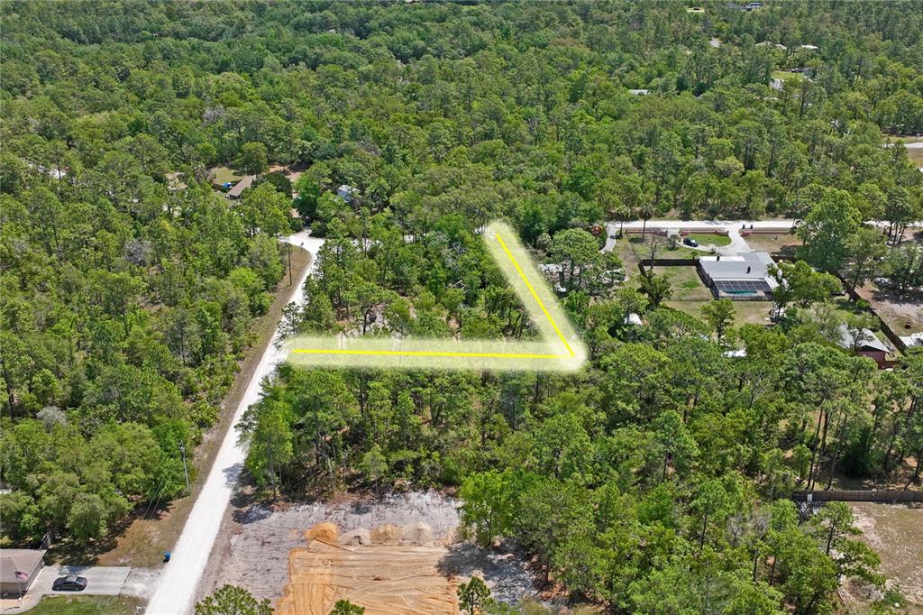 0 Yellowstone Avenue Weeki Wachee, FL 34614 - Photo 10 of 18 a view of a yard with plants