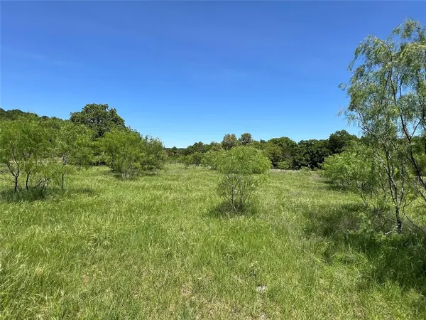 a view of a green field with lots of bushes