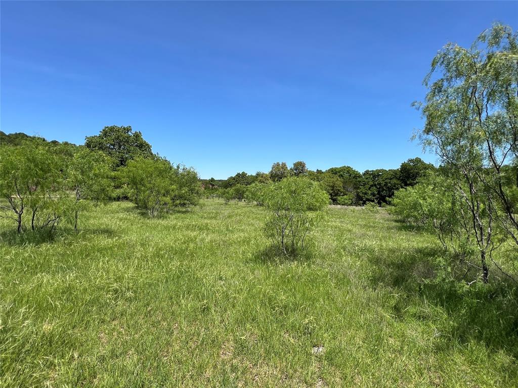 Tbd Lake Creek Road Gordon, TX 76453 - Photo 1 of 18 a view of a green field with lots of bushes