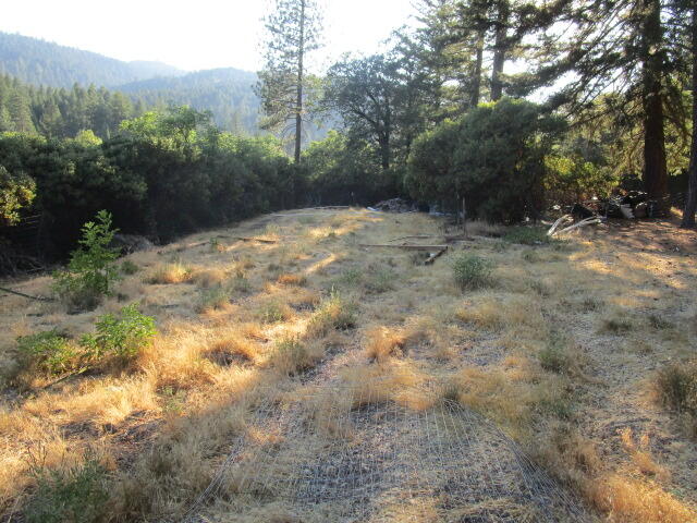 3 East Van Duzen Road Zenia, CA 95595 - Photo 5 of 12 IMG_2667
