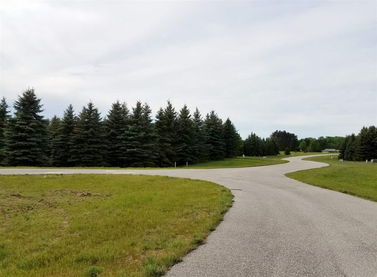 18 Lipp Farm Road, Unit LOT: 18 Benzonia, MI 49616 - Photo 11 of 13