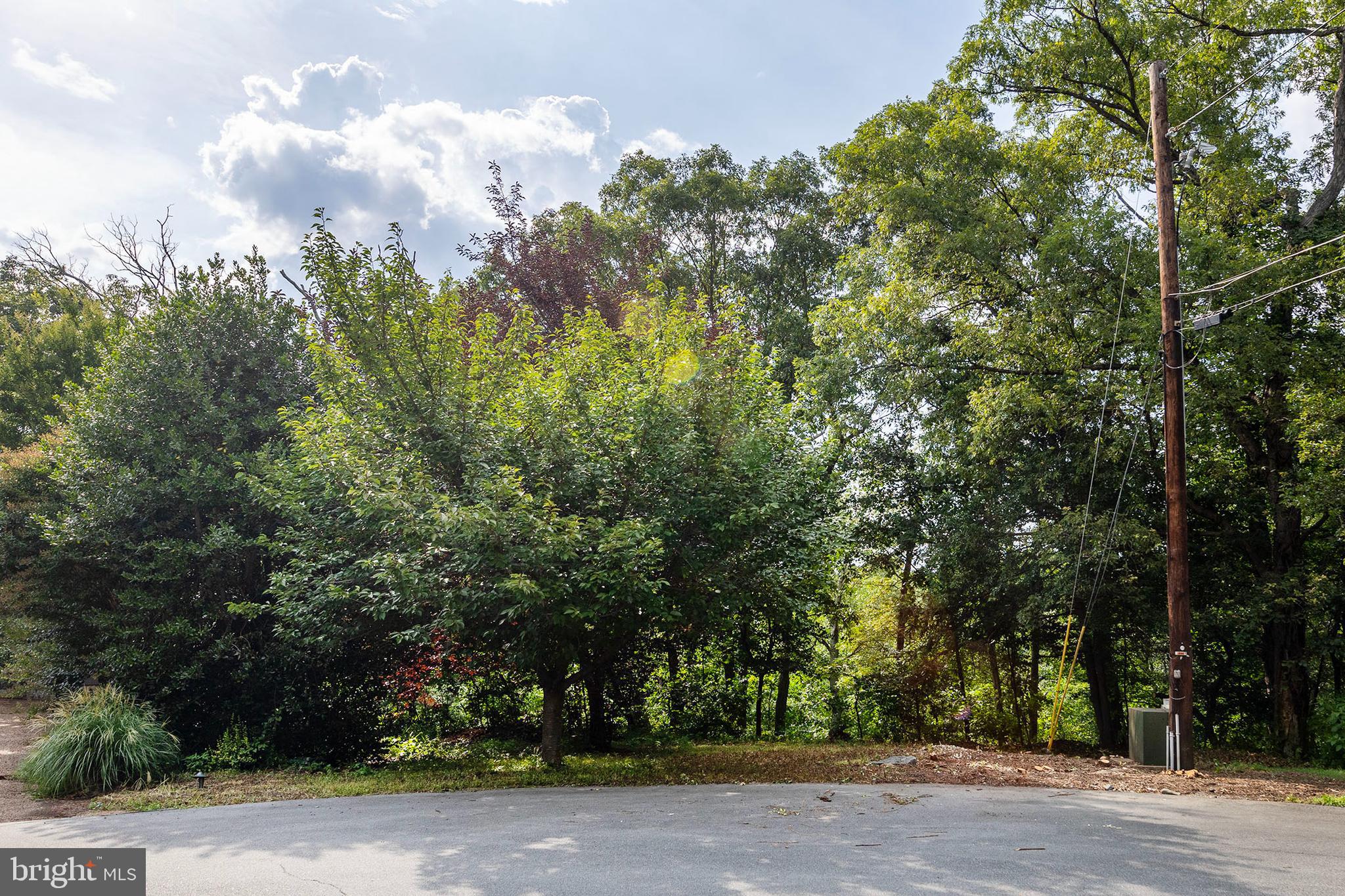 0 Oak Ridge Lane Winchester, VA 22602 - Photo 5 of 10 Driveway view