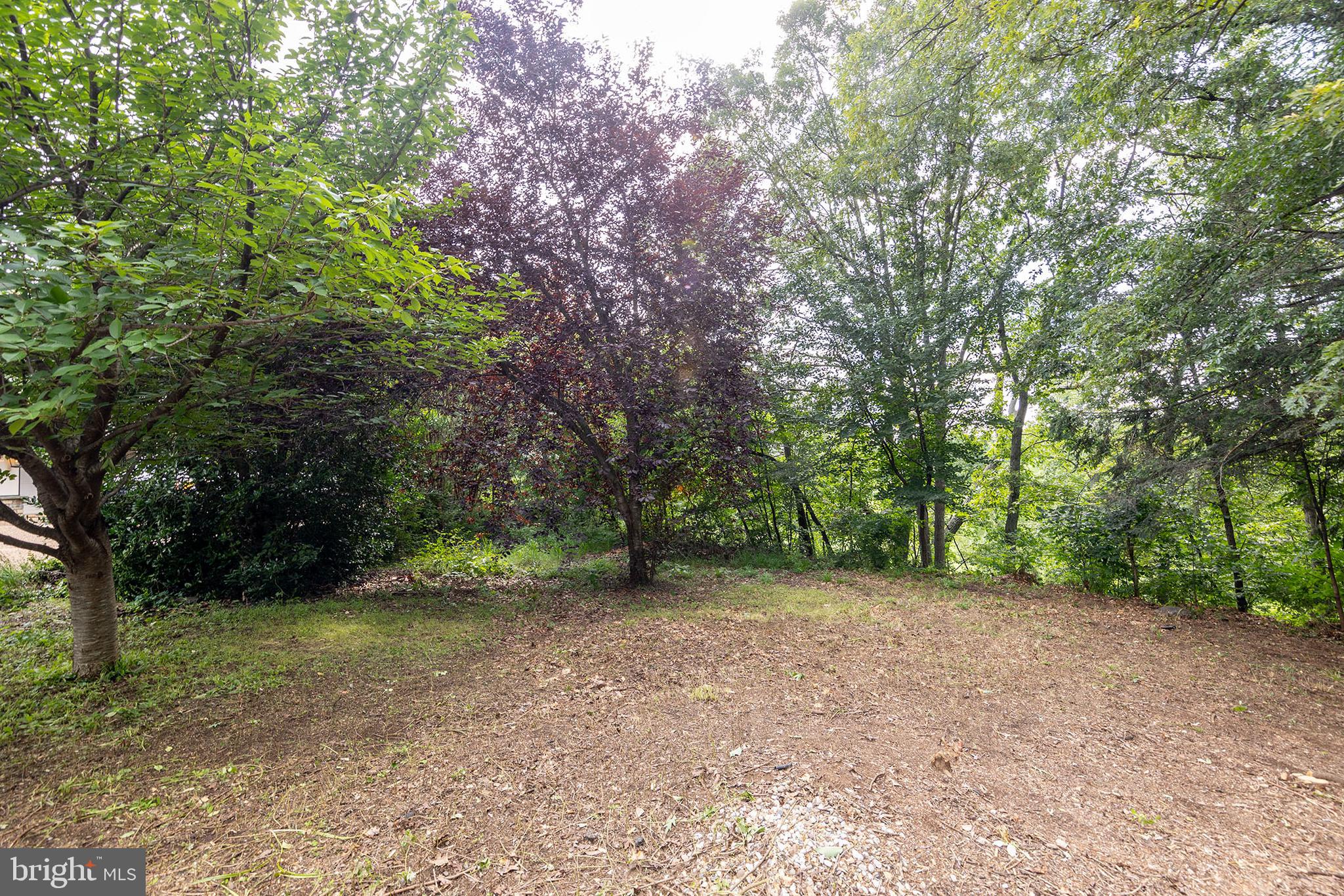 0 Oak Ridge Lane Winchester, VA 22602 - Photo 7 of 10 Level top of the lot