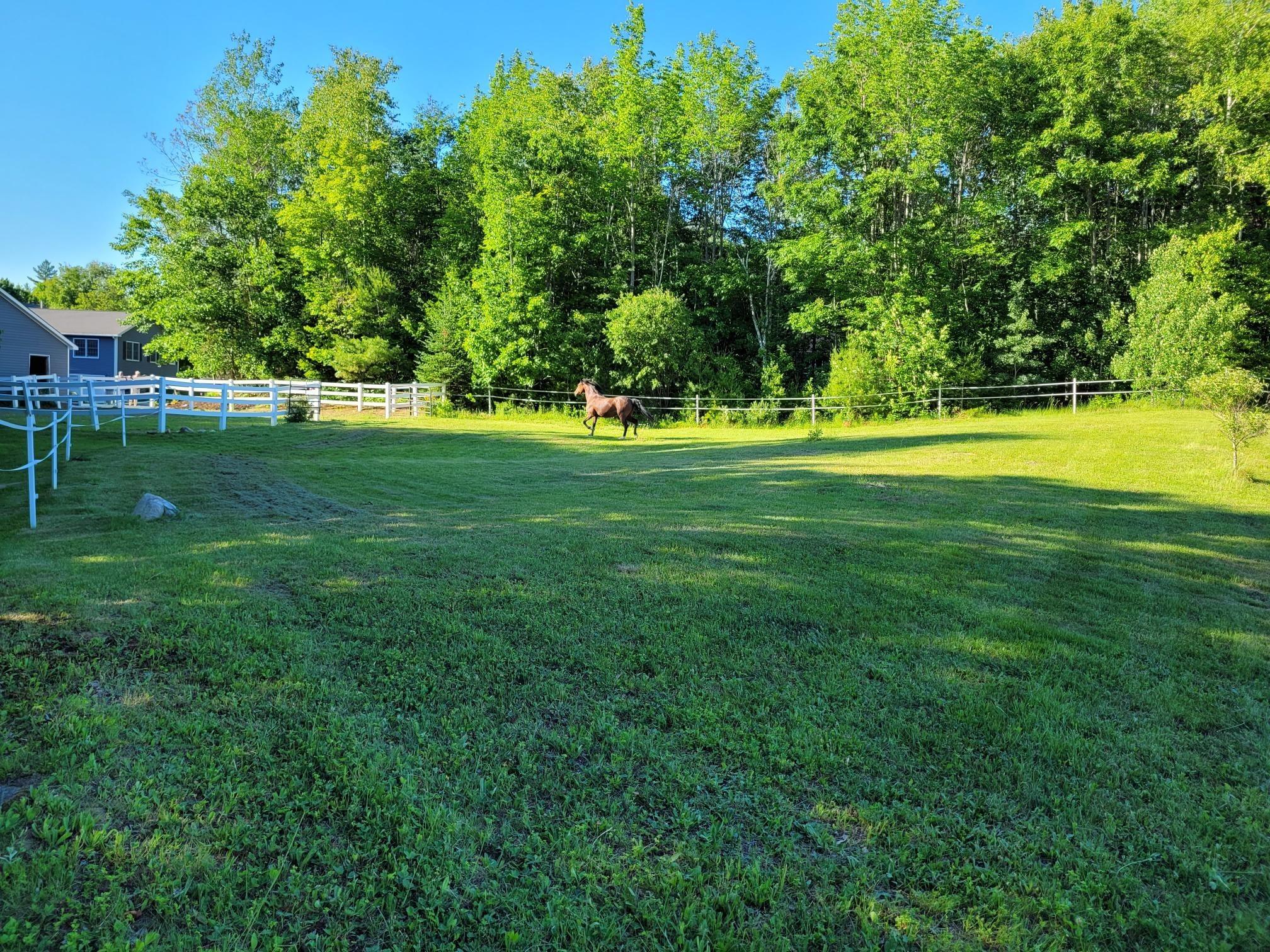 155 Kidder Road South China, ME 04358 - Photo 61 of 68 Paddock Area