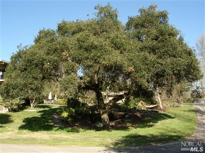 4930 Vine Hill Road Sebastopol, CA 95472 - Photo 3 of 8 Gallery Image 3