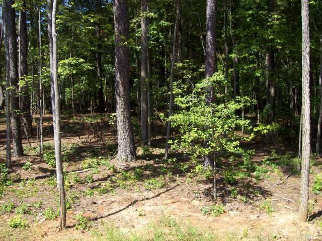 7208 Duncans Ridge Way Fuquay-Varina, NC 27526 - Photo 11 of 12 View of the wooded back yard. Nice and private. Back Yard