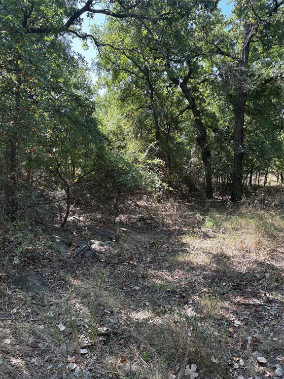 0 Gopher Road Millsap, TX 76066 - Photo 3 of 11 Additional content
