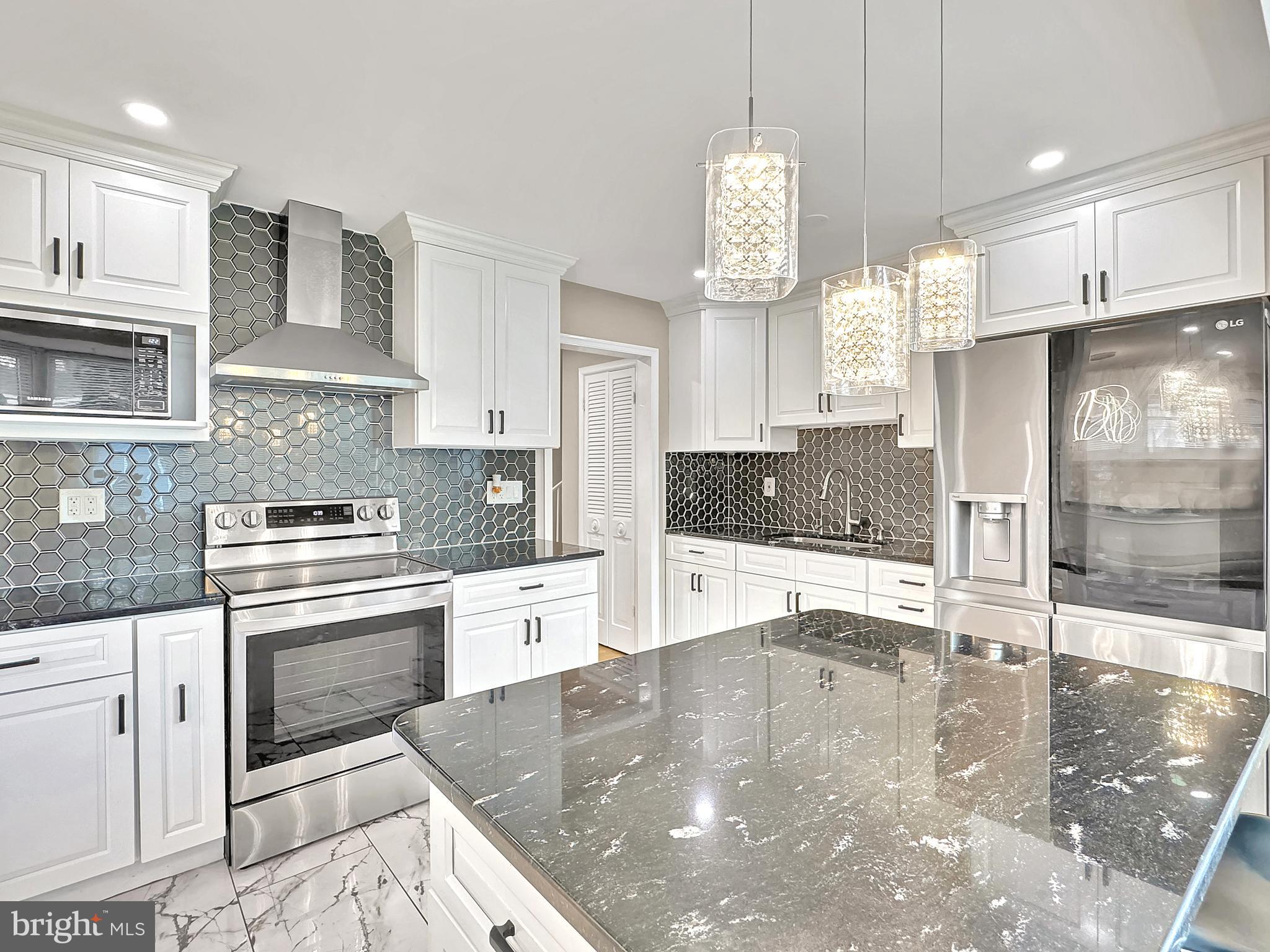 2408 Lillian Drive Silver Spring, MD 20902 - Photo 12 of 54 a large kitchen with stainless steel appliances a large counter top a stove a sink dishwasher and a refrigerator with wooden floor