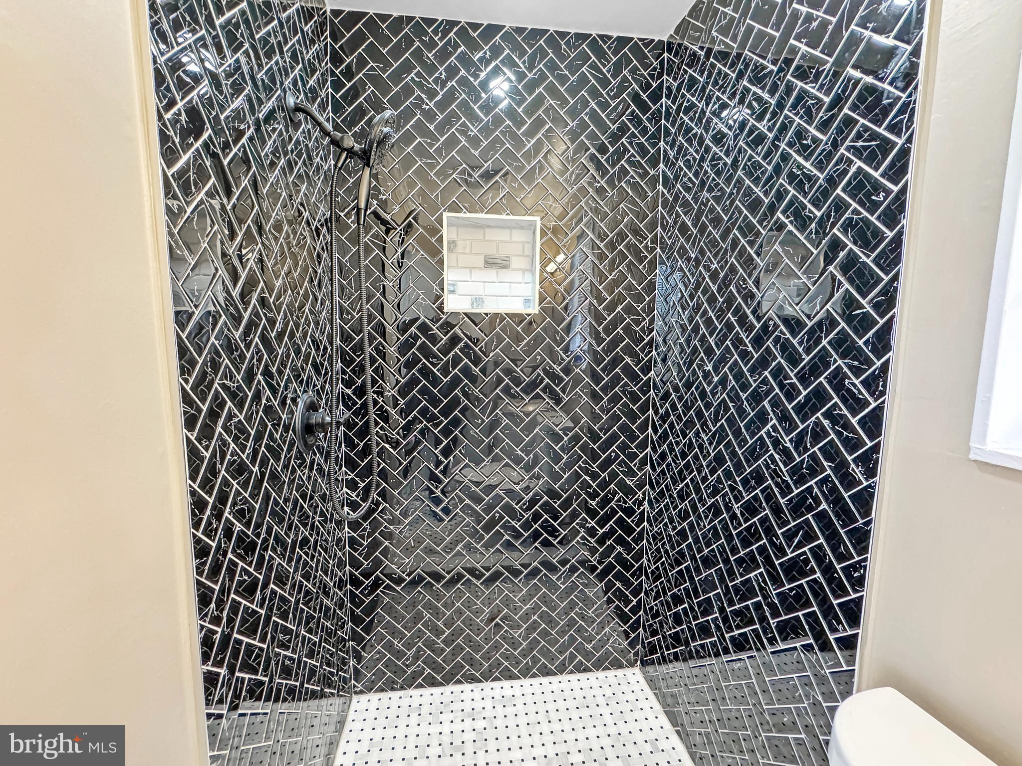 2408 Lillian Drive Silver Spring, MD 20902 - Photo 13 of 43 Primary updated shower