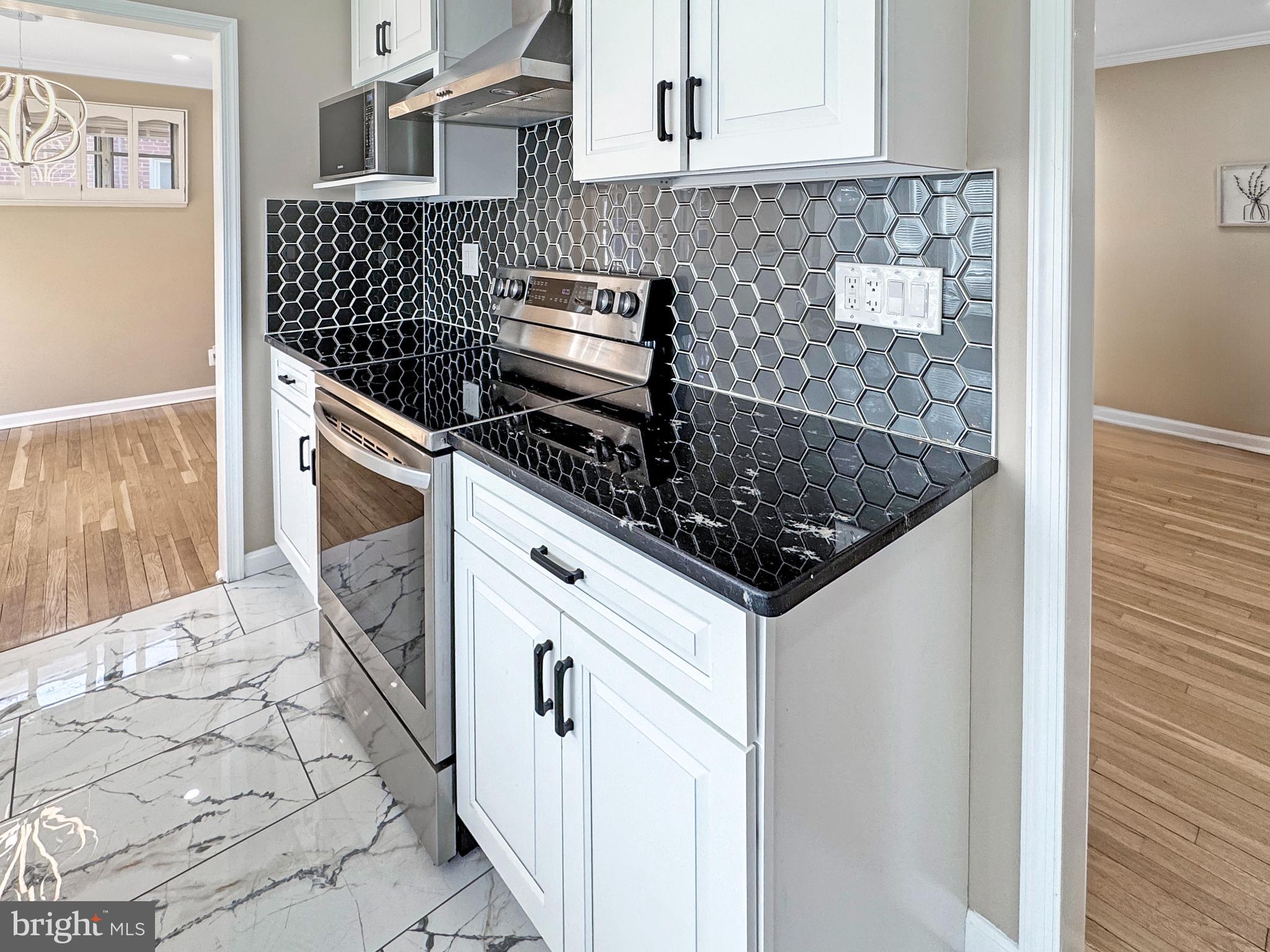 2408 Lillian Drive Silver Spring, MD 20902 - Photo 19 of 54 a kitchen with granite countertop a sink and a stove