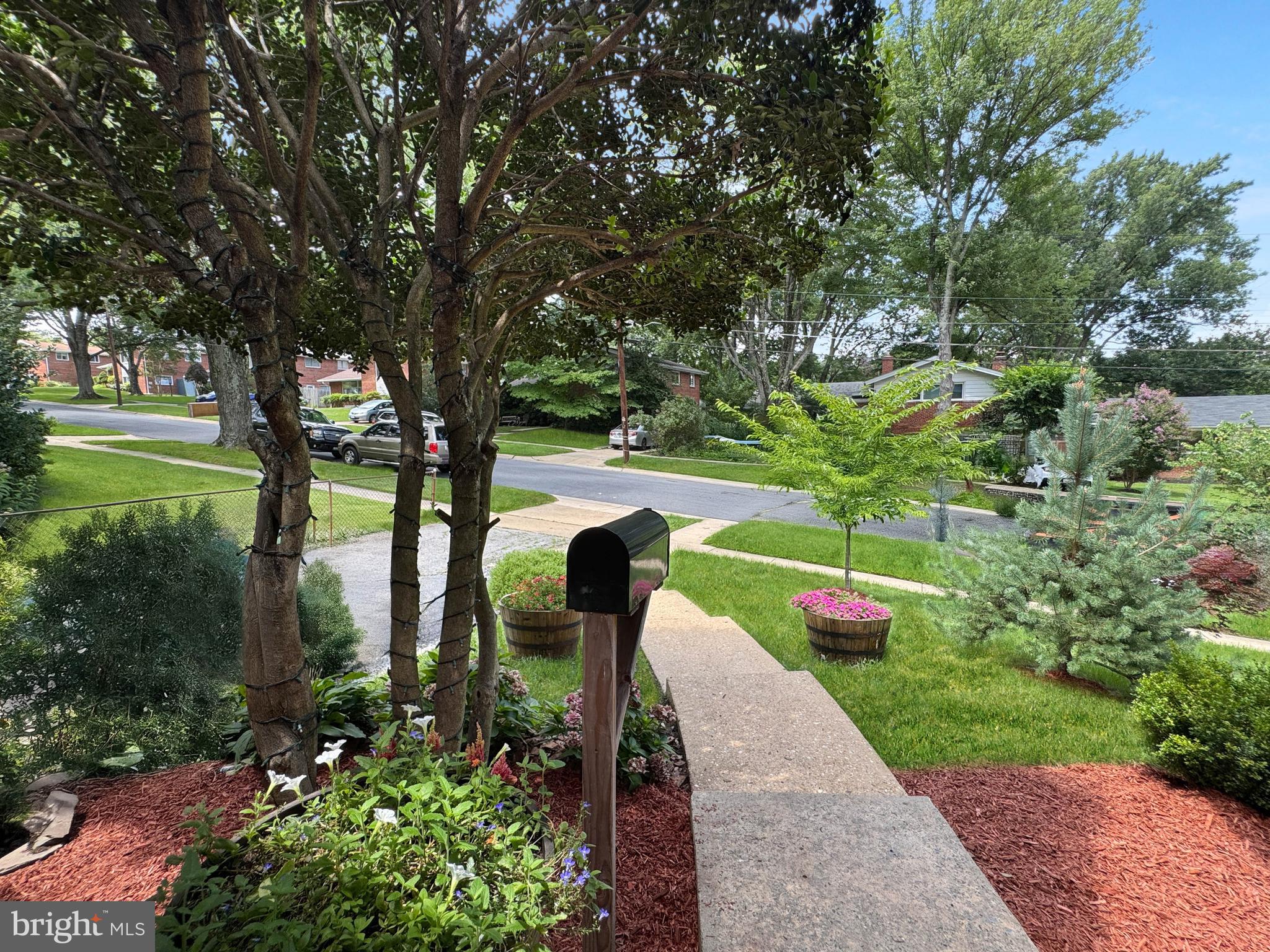 2408 Lillian Drive Silver Spring, MD 20902 - Photo 49 of 54 a view of yard with green space and plants