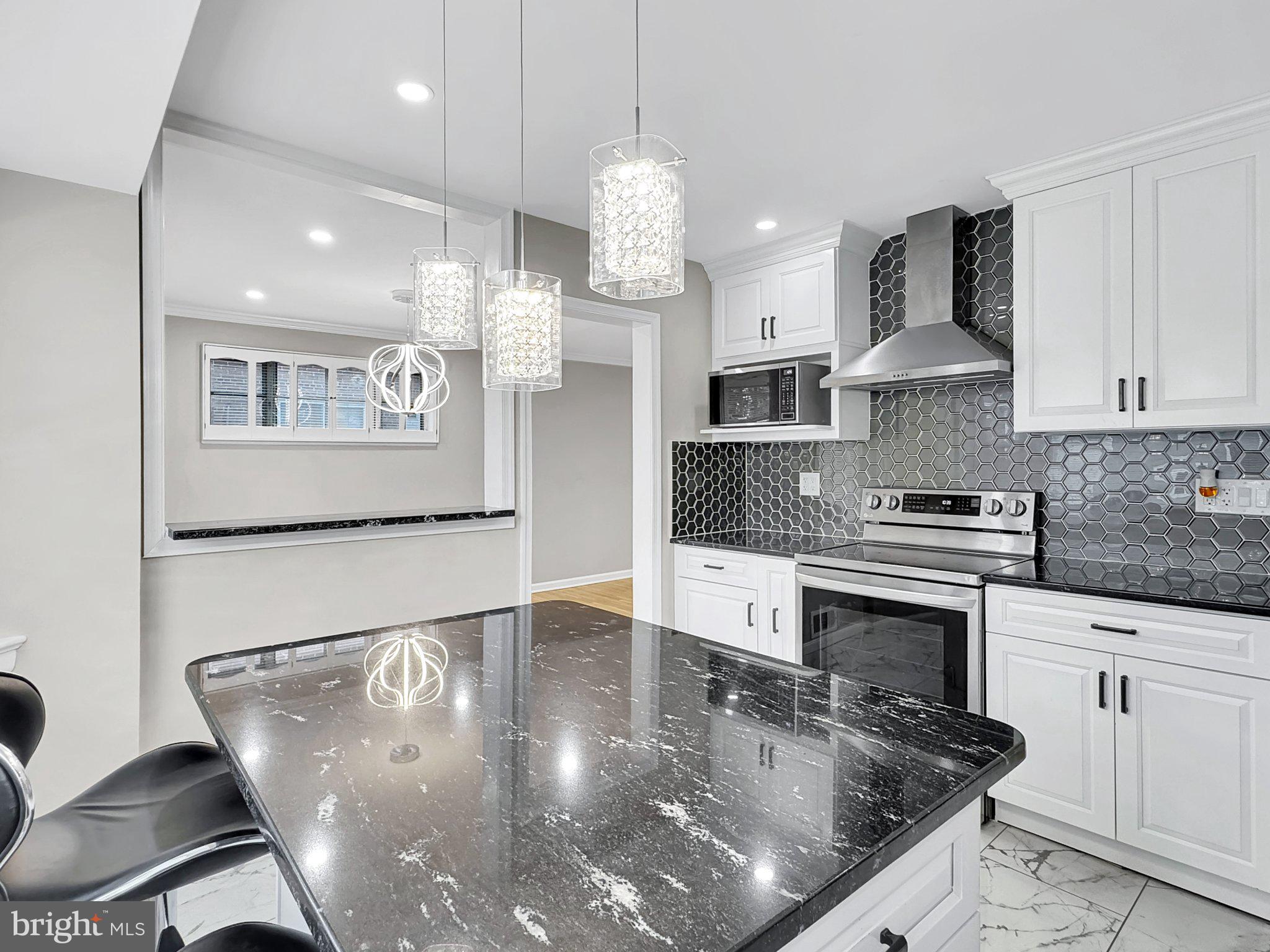 2408 Lillian Drive Silver Spring, MD 20902 - Photo 9 of 43 Sleek modern kitchen with elegant finishes.
