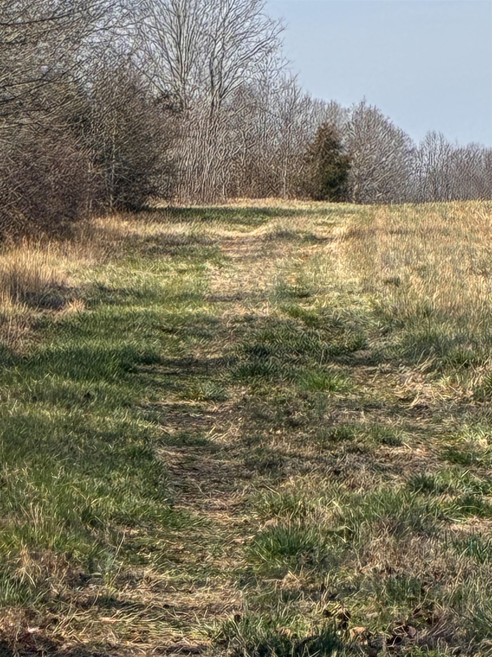 Tbd Oak Ridge Road Gaffney, SC 29341 - Photo 14 of 16