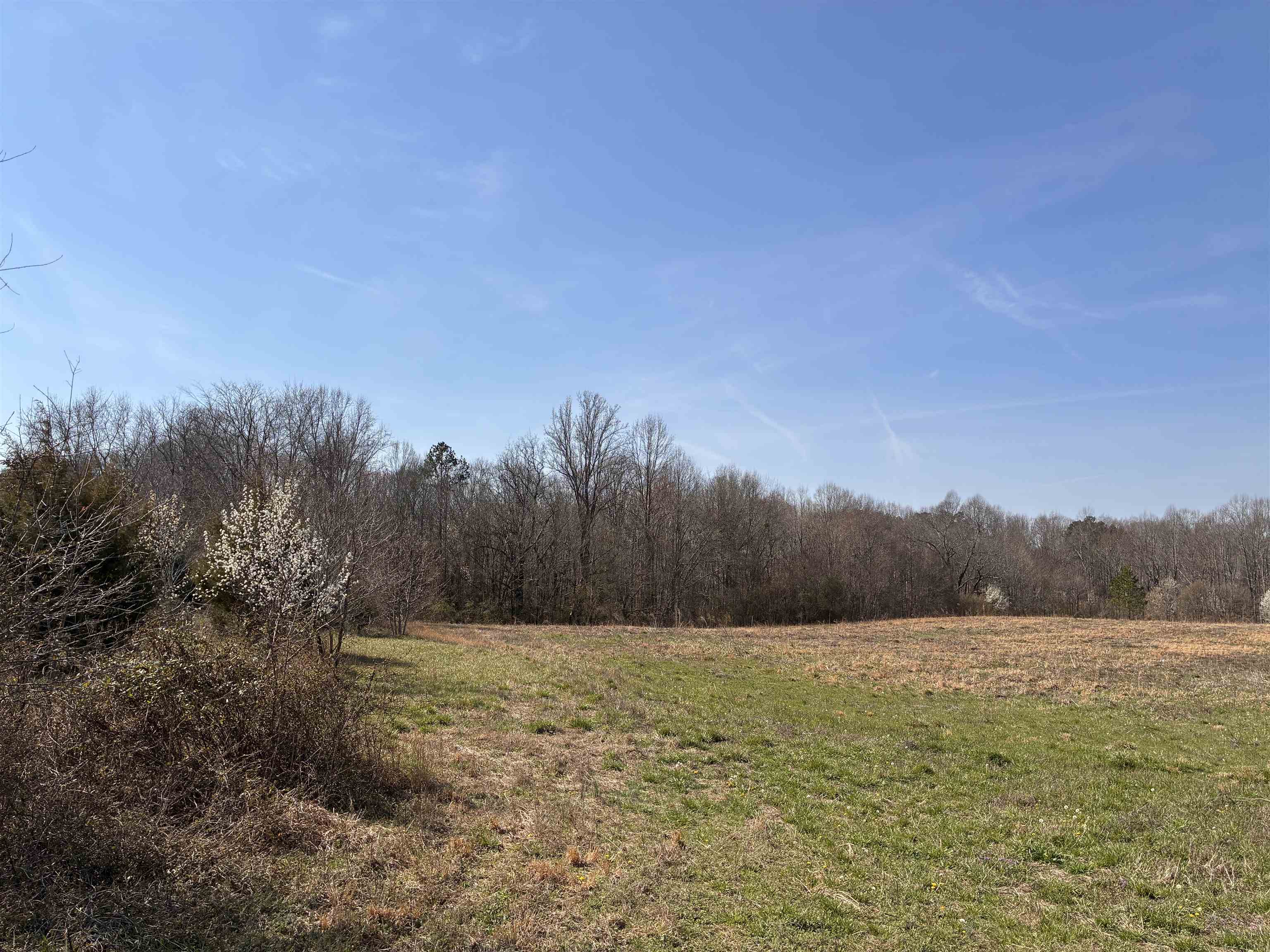 Tbd Oak Ridge Road Gaffney, SC 29341 - Photo 8 of 16