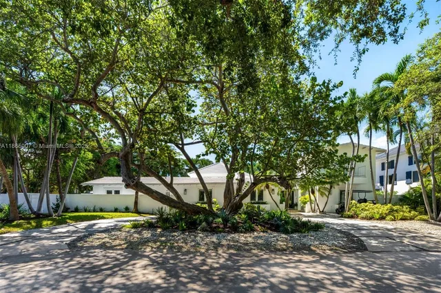 a view of a backyard with a large tree