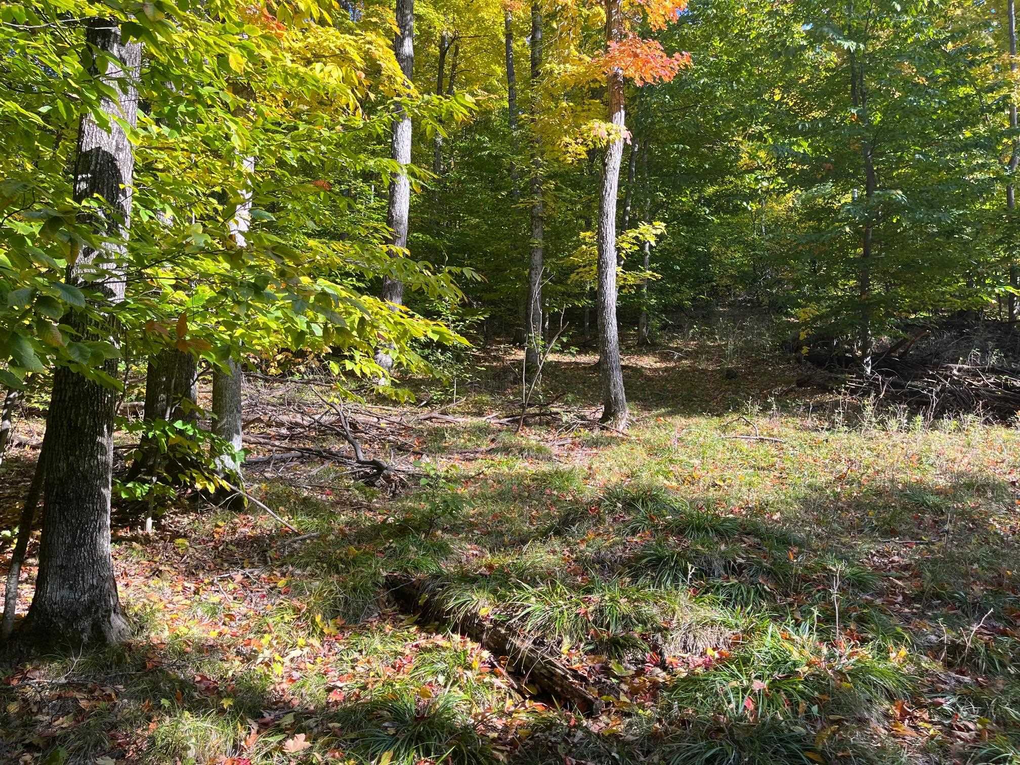 3209-00 West Trumbull Road Maple City, MI 49664 - Photo 68 of 86 1906175-67.JPG