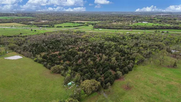 a view of a lush green space with a lake view