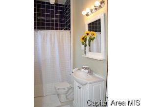 1330 North 3rd Street Springfield, IL 62702 - Photo 12 of 12
