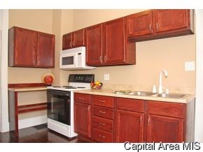 1330 North 3rd Street Springfield, IL 62702 - Photo 10 of 12