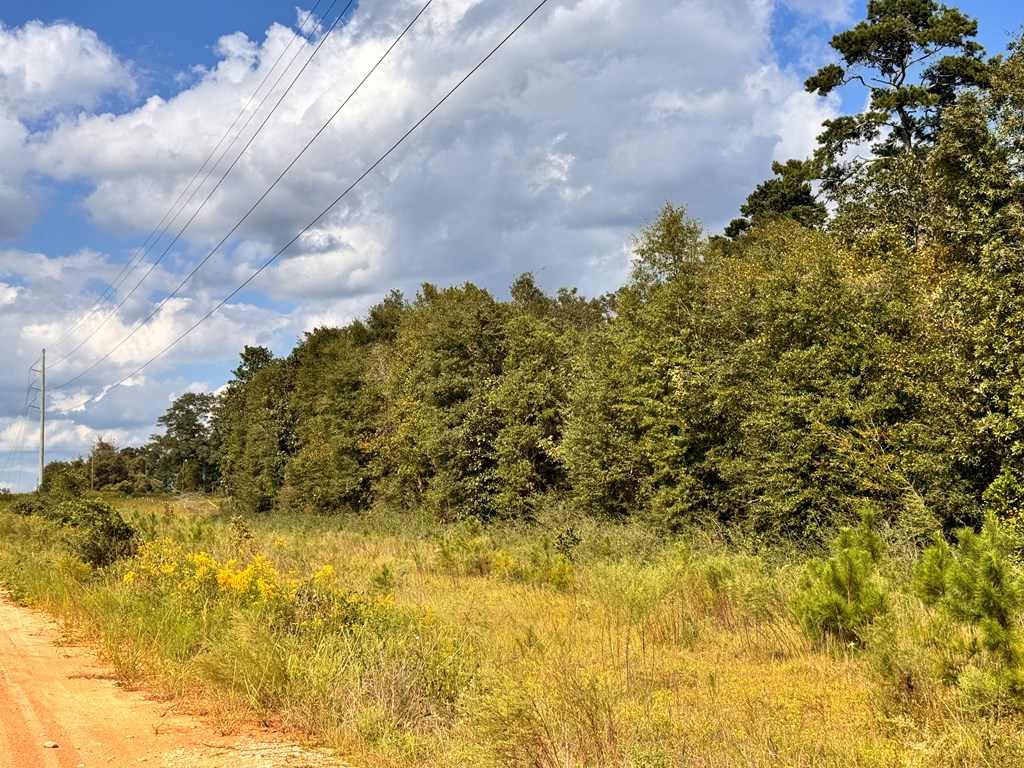 0 Hwy 123 & Co Road Ozark, AL 36360 - Photo 4 of 4