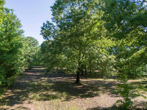 $70,000 | 1600 Alba Tx 75410, Alba, TX 75410