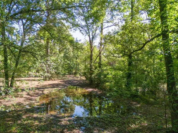 $70,000 | 1600 Alba Tx 75410, Alba, TX 75410