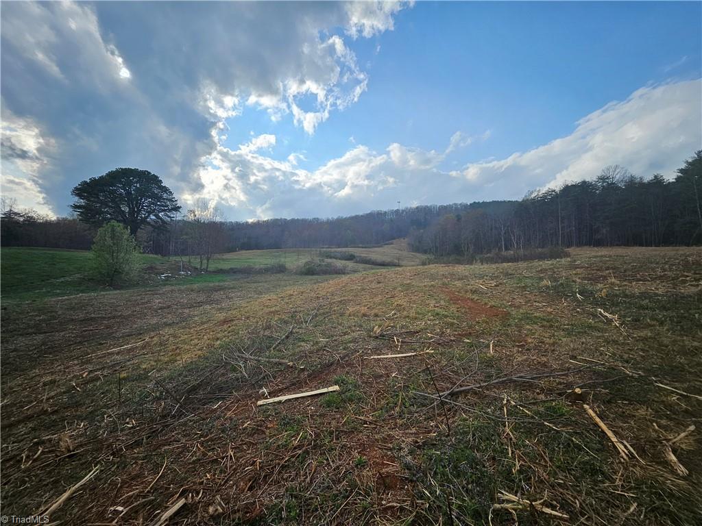 0 Blue Hollow Road, Unit 27 Mount Airy, NC 27030 - Photo 8 of 11