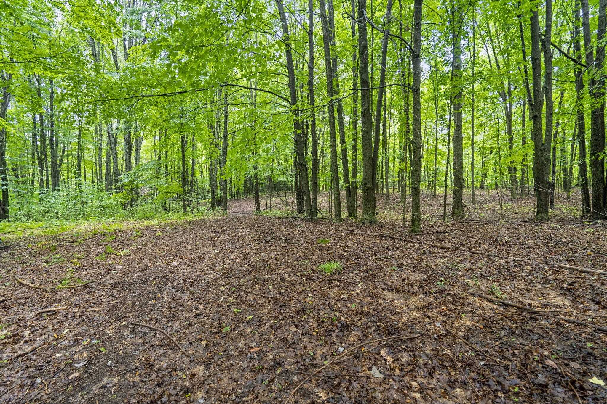 5275 Pierce Road Kingsley, MI 49649 - Photo 73 of 81 1950349-0634f7d3-b1f4-46db-ac84-dbefbadc6c56.JPG