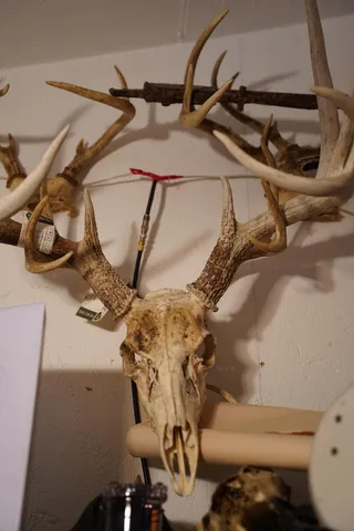 $646,500 | 25065 Rock Springs Hollow Road, Thebes, IL 62990