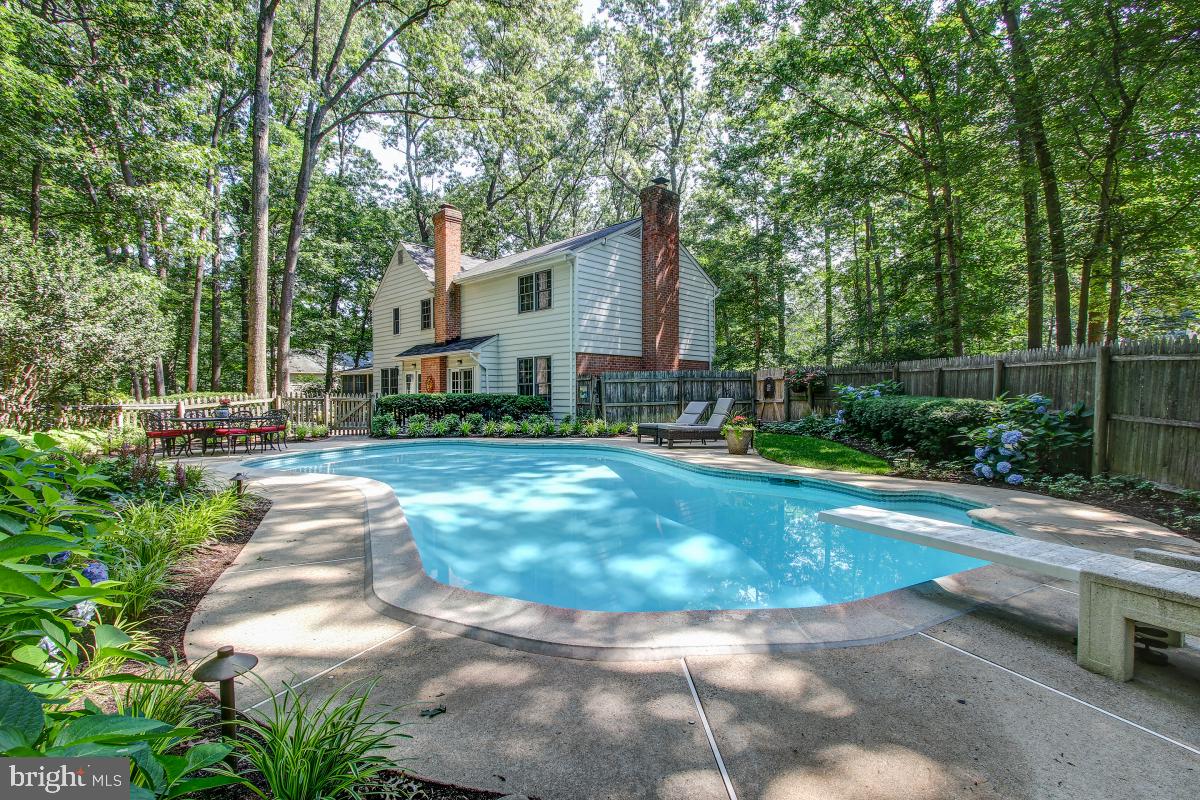 11315 Handlebar Road Reston, VA 20191 - Photo 28 of 41 Diving Board