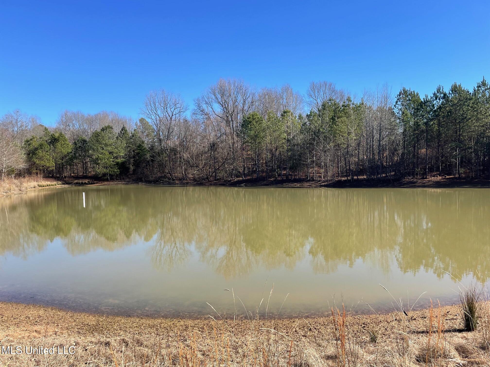 2074 Sparta Road Holcomb, MS 38940 - Photo 3 of 7 10606-03