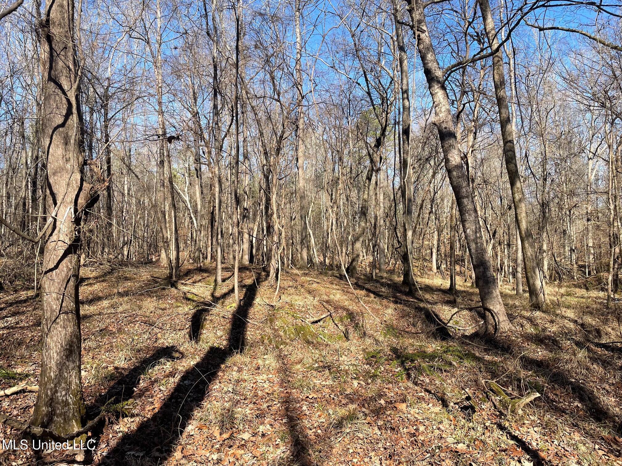 2074 Sparta Road Holcomb, MS 38940 - Photo 6 of 7 10606-06