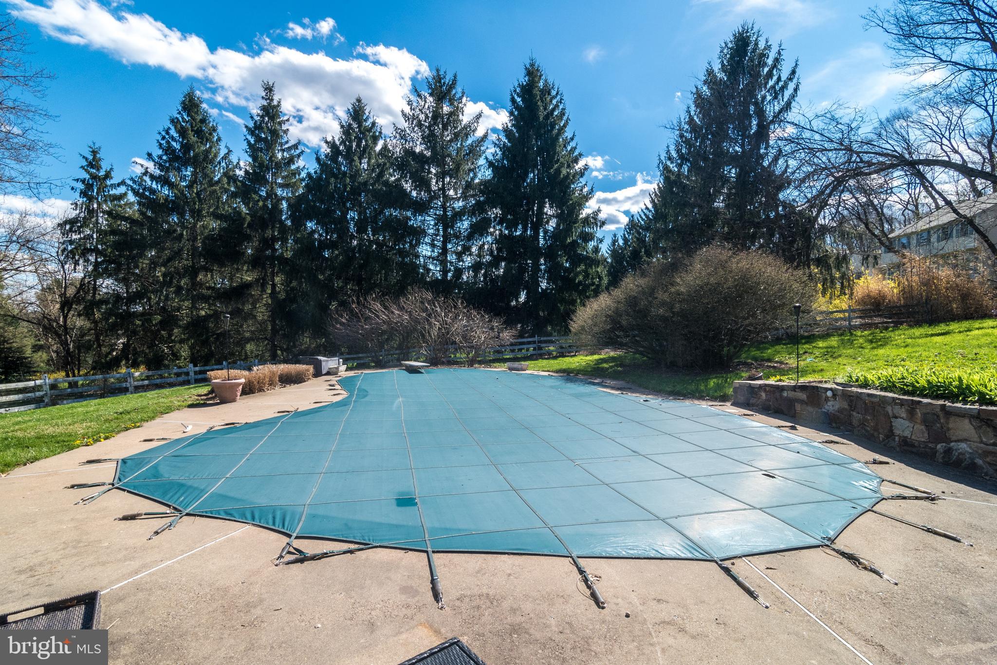 98 Chapman Road Doylestown, PA 18901 - Photo 42 of 49 A pool with a Diving Board!