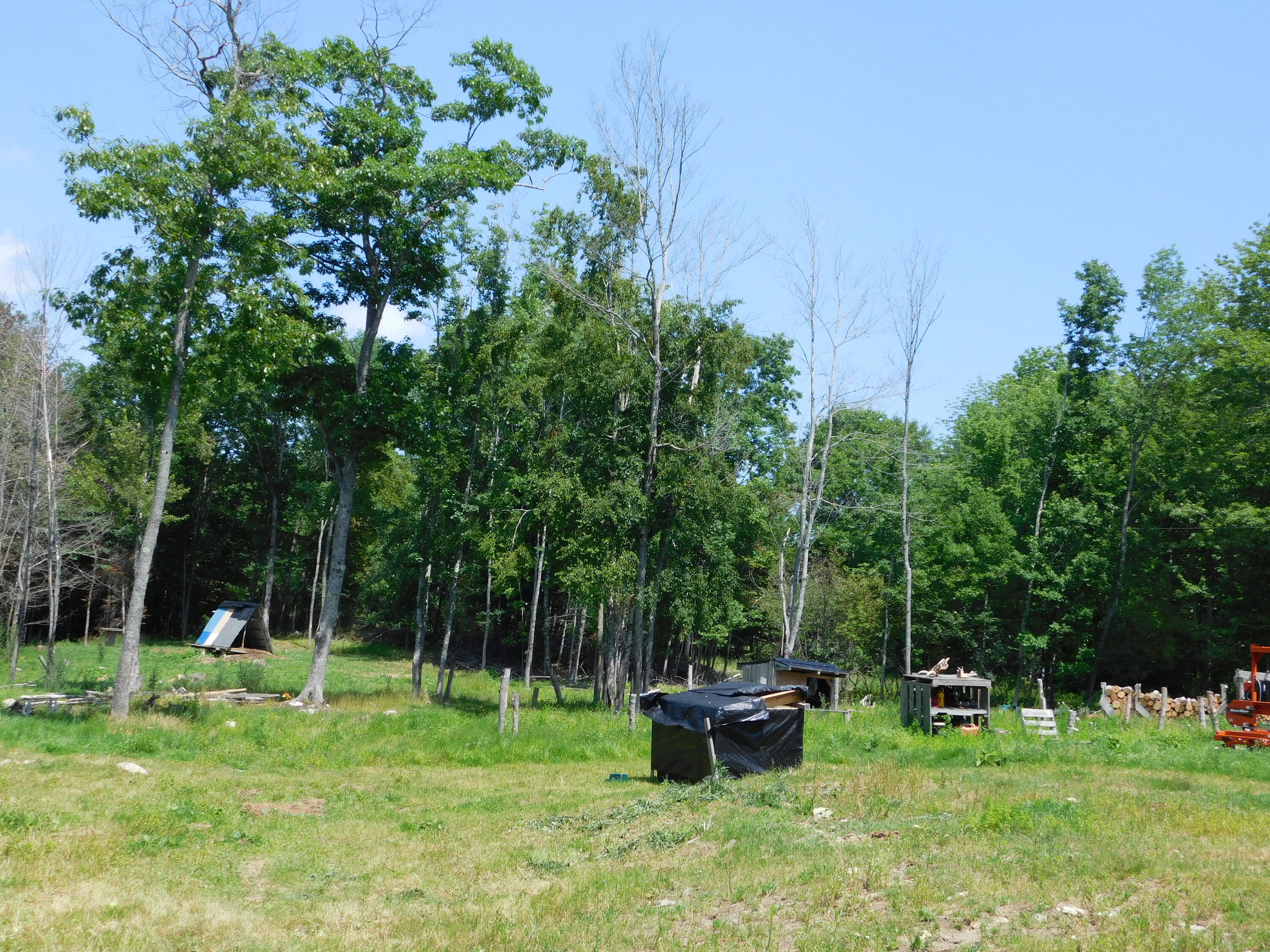 535 Betts Road Bucksport, ME 04416 - Photo 80 of 120 DSCN1355