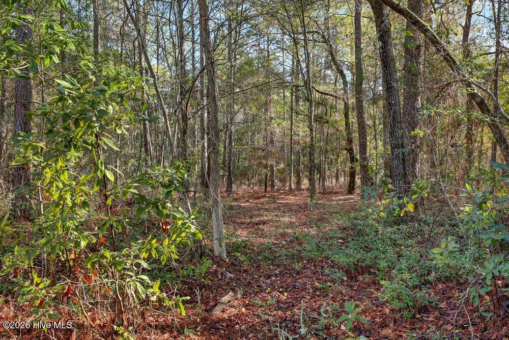 348 Shaw Highway Rocky Point, NC 28457 - Photo 26 of 29 026_6g8a5478_709
