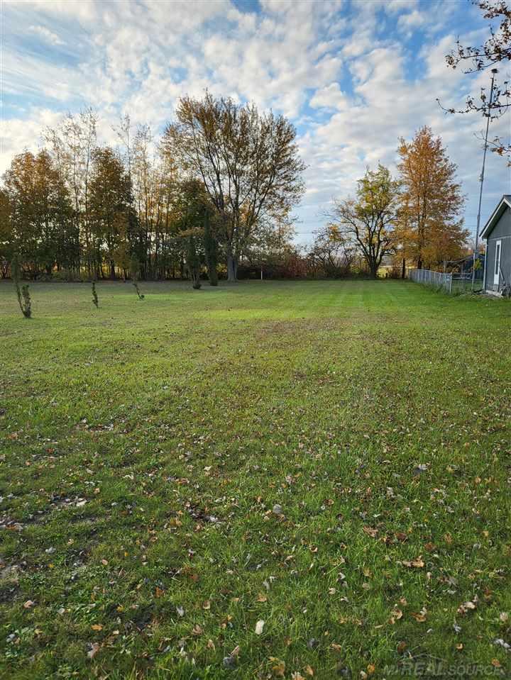 Tbd Woodbine Road Lexington, MI 48450 - Photo 1 of 16