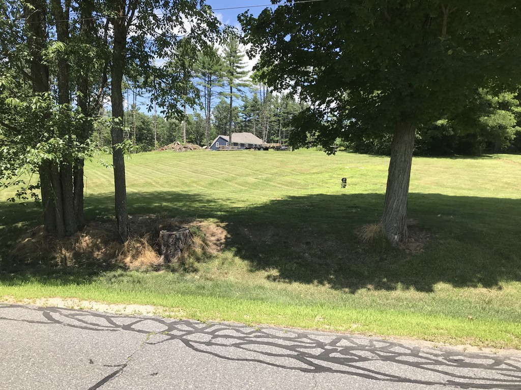 377 Old Bay Road Bolton, MA 01740 - Photo 8 of 10 Gallery Image 8