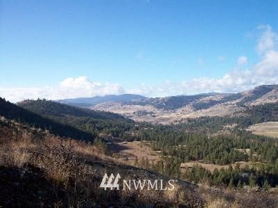 999 Gulch Road Malo, WA 99150 - Photo 1 of 1 Gallery Image 1