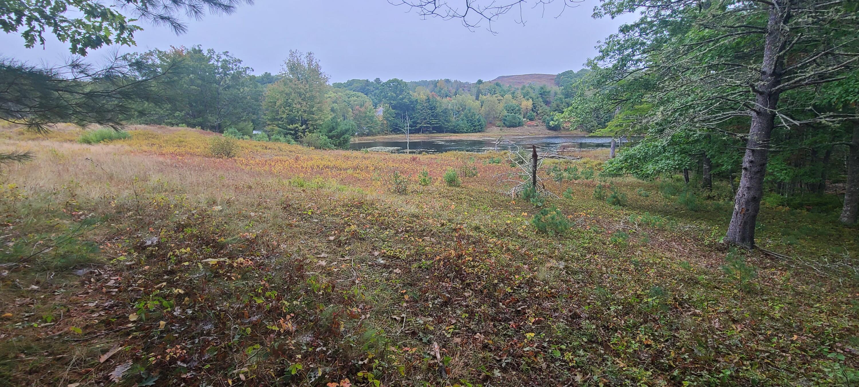 0 Grindleville Road Blue Hill, ME 04614 - Photo 1 of 15 20250924_111223