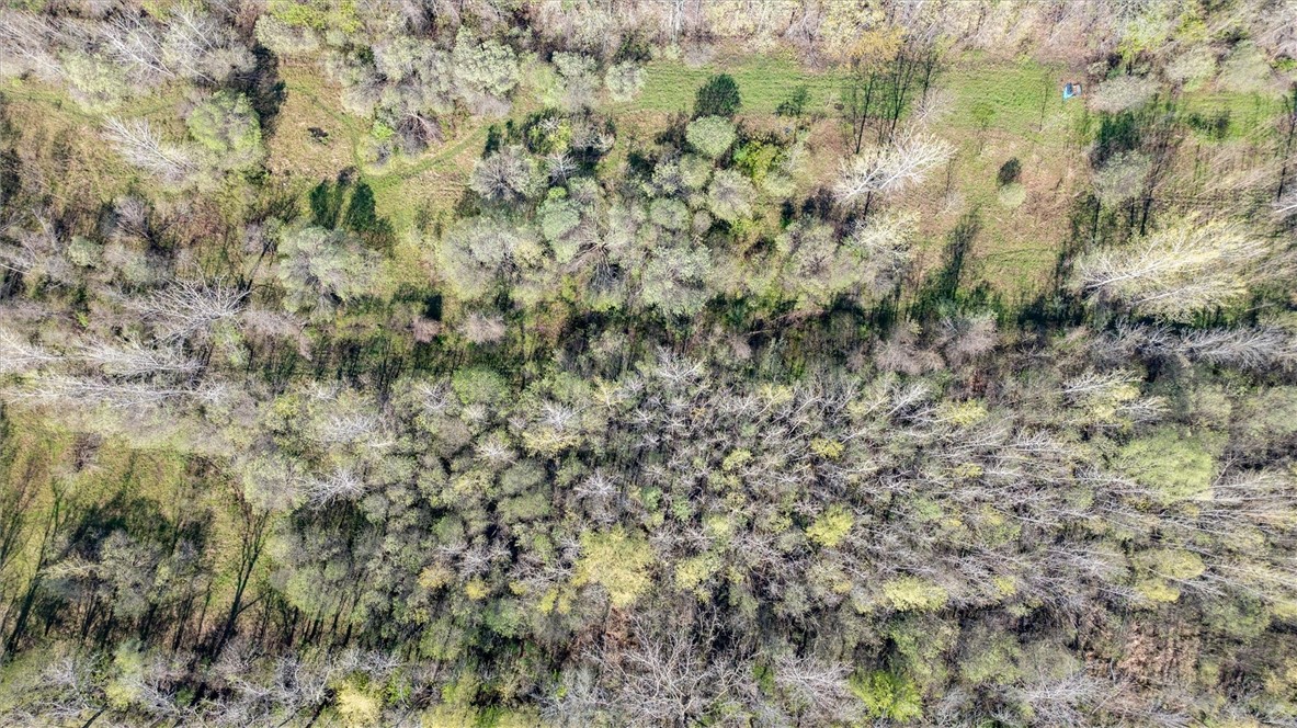 16126 Telegraph Road Murray, NY 14470 - Photo 41 of 50
