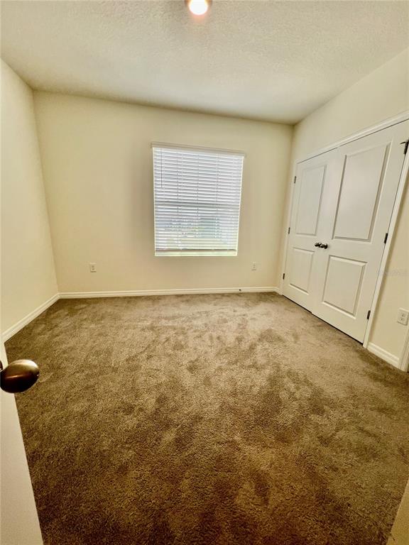 32557 Turtle Grace Loop Wesley Chapel, FL 33545 - Photo 12 of 35