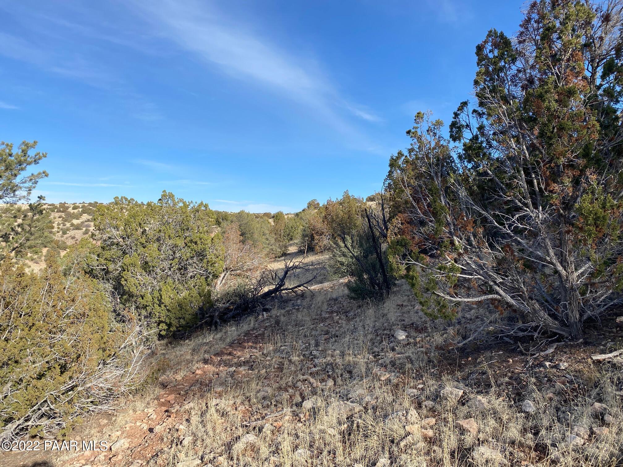 8362 Sharp Knife Road Williams, AZ 86046 - Photo 16 of 22 IMG_1747