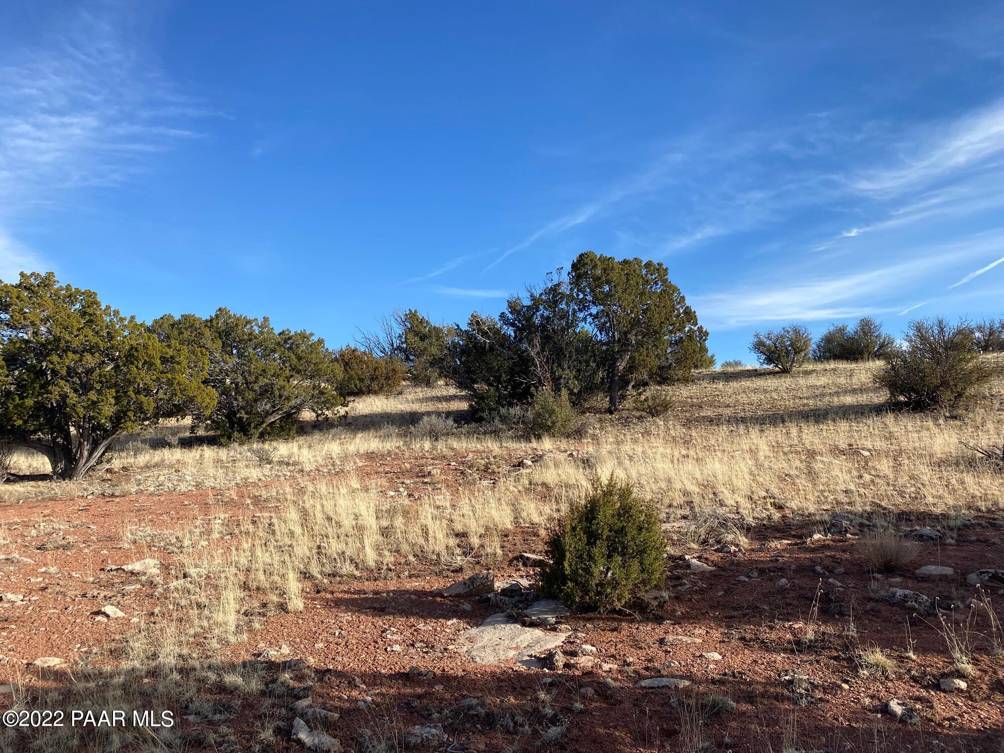 8362 Sharp Knife Road Williams, AZ 86046 - Photo 17 of 22 IMG_1751