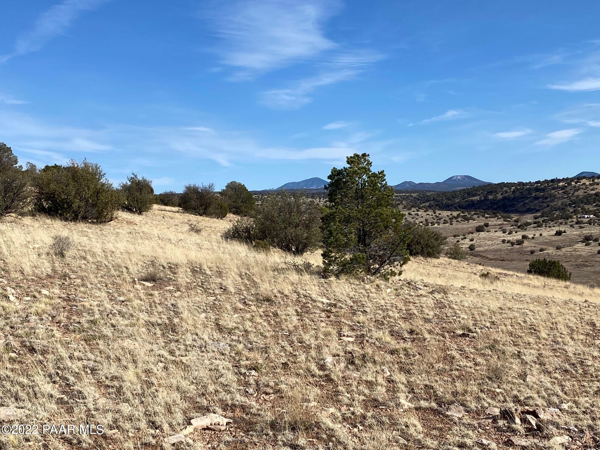 8362 Sharp Knife Road Williams, AZ 86046 - Photo 6 of 22 IMG_1720