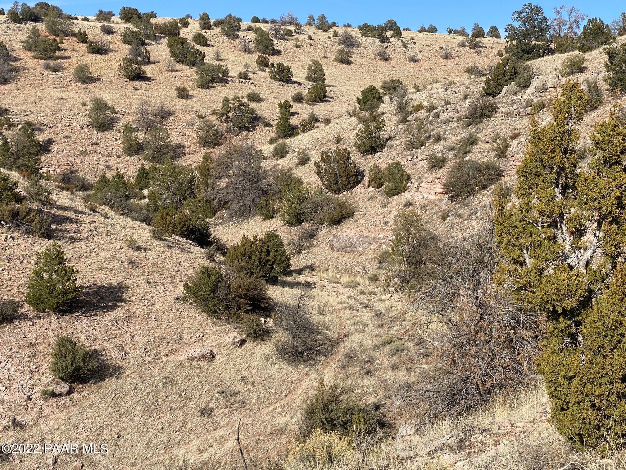 8362 Sharp Knife Road Williams, AZ 86046 - Photo 8 of 22 IMG_1724