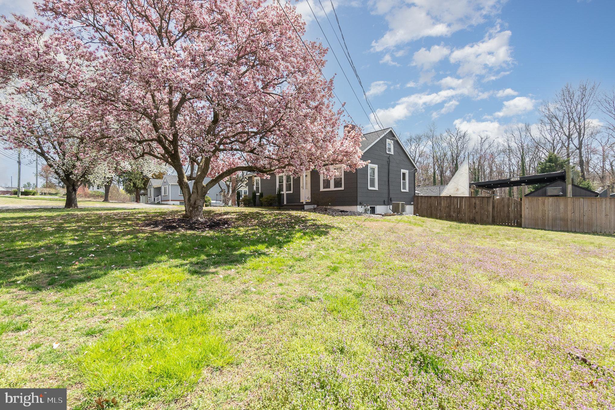 5813 Ebenezer Road White Marsh, MD 21162 - Photo 4 of 46 a large tree in front of a house
